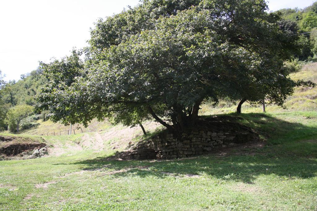 بورغو سان لورينزو Locanda Di Alberi المظهر الخارجي الصورة
