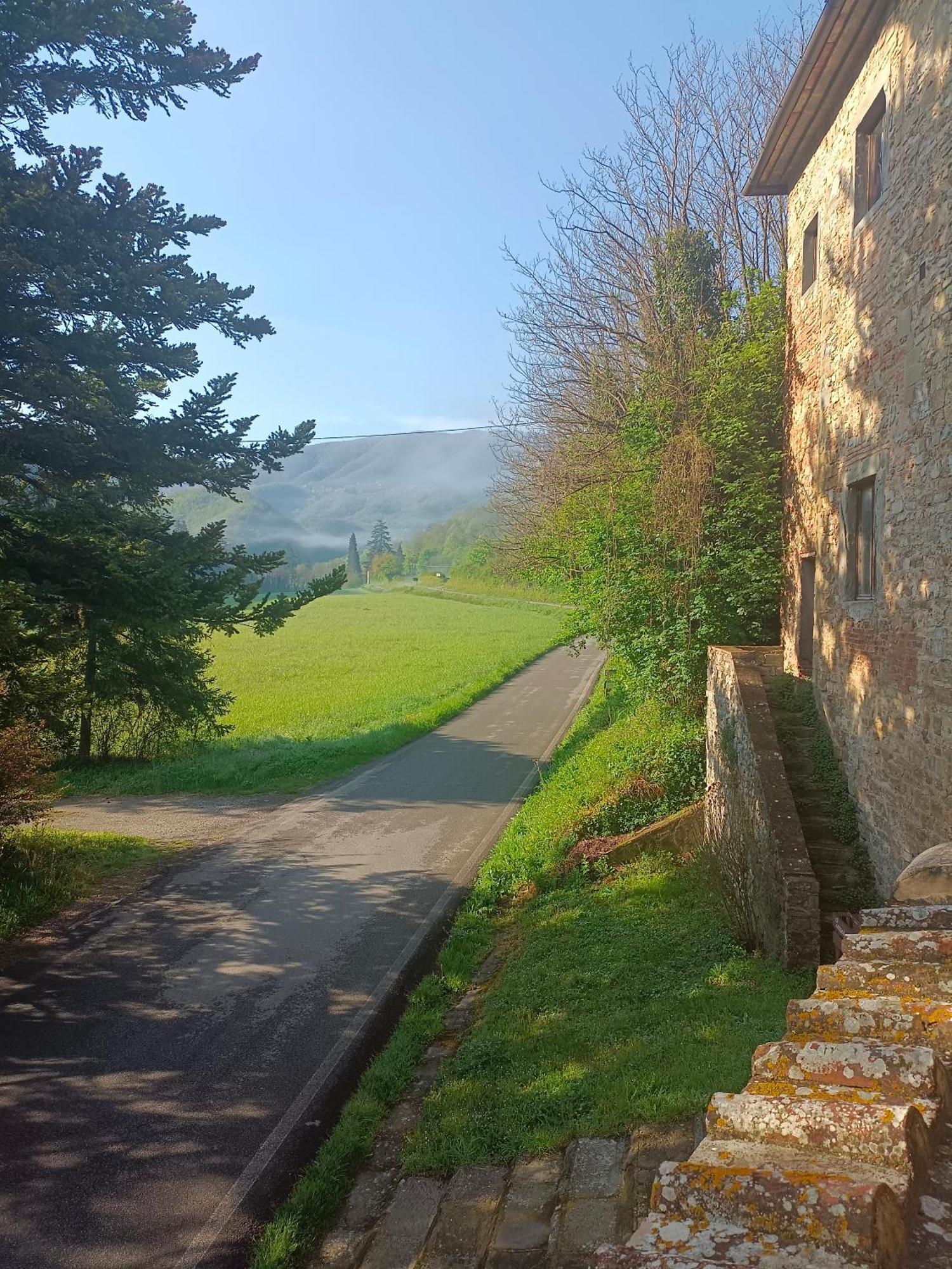 بورغو سان لورينزو Locanda Di Alberi المظهر الخارجي الصورة