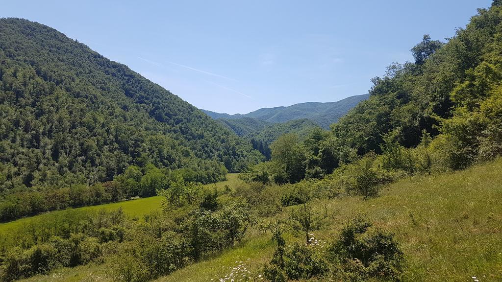 بورغو سان لورينزو Locanda Di Alberi المظهر الخارجي الصورة